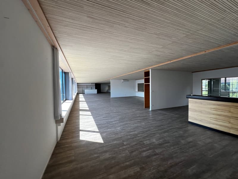 Empty room with wooden floor, white walls, large windows, wooden counter, wooden ceiling