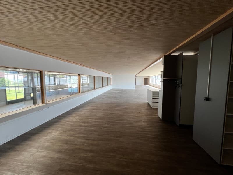 Empty room, wooden floor, white walls, large windows, cabinets, shelves