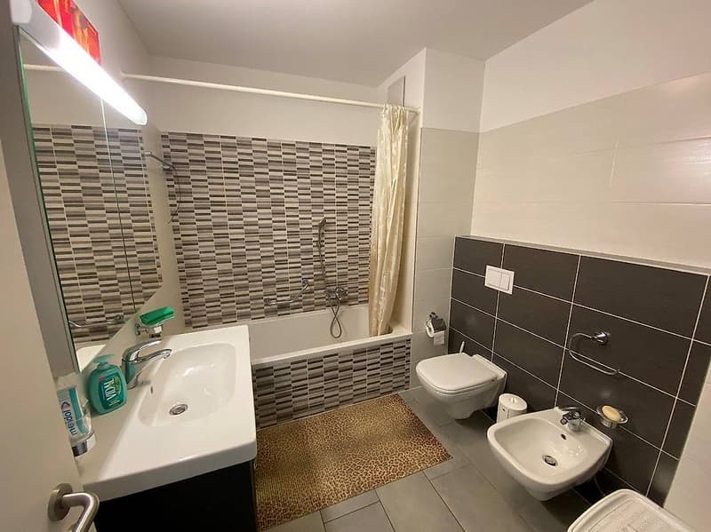 Mendrisio, 2.5 locali con piscina, wellness e parco (8)