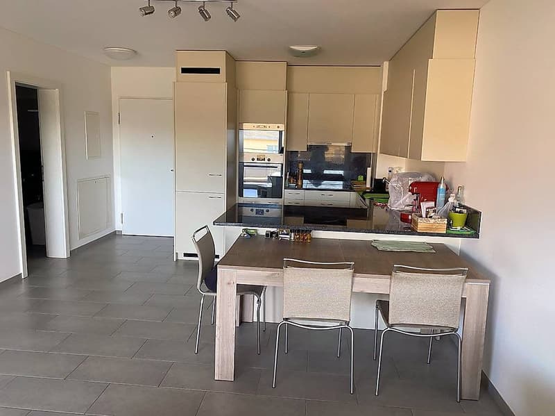 Mendrisio, 2.5 locali con piscina, wellness e parco (4)