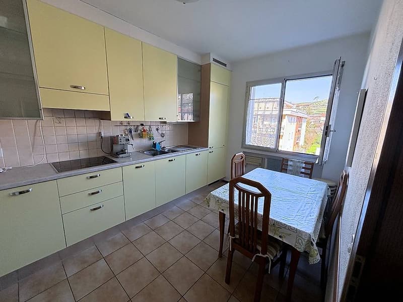 Coldrerio - Ampio 3.5 locali con giardino condominiale (5)