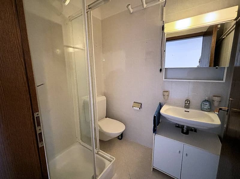 Coldrerio - Ampio 3.5 locali con giardino condominiale (11)