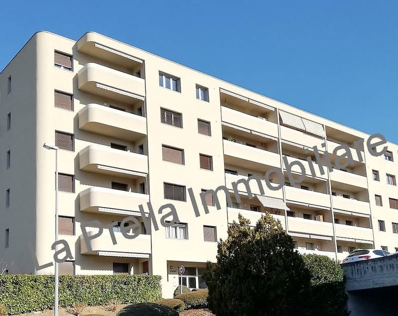 Coldrerio - Ampio 3.5 locali con giardino condominiale (3)