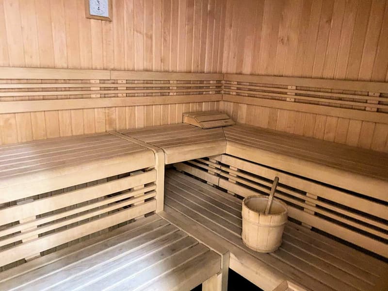 Luminoso appartamento di 2.5 locali con piscina e area wellness (10)