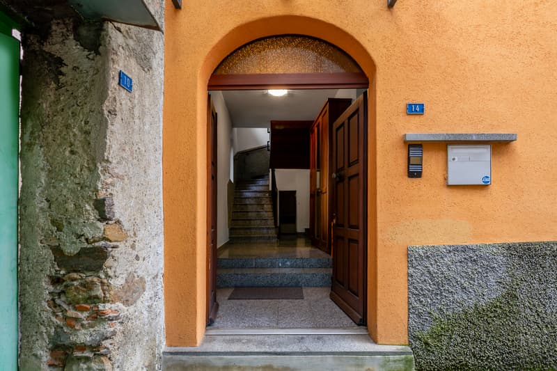 Ingresso