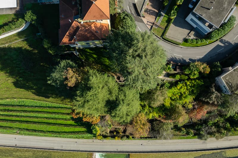 Visuale dall'alto
