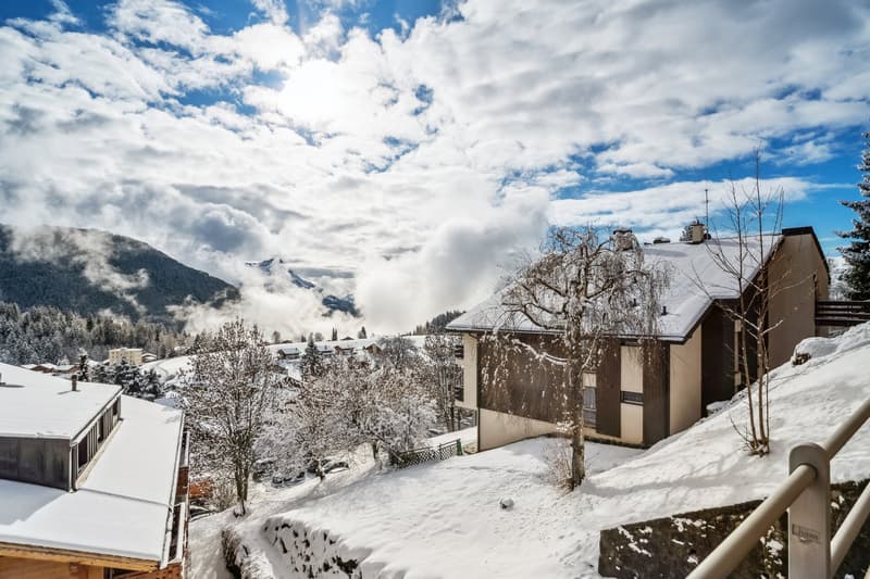 Vue
