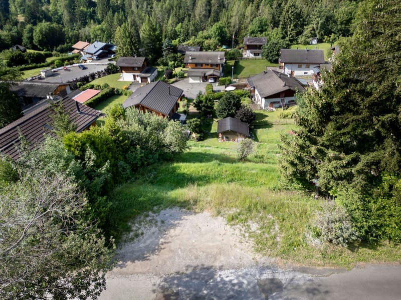 Terrain
