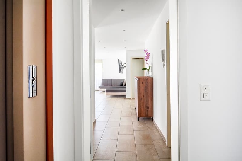 Area d`ingresso