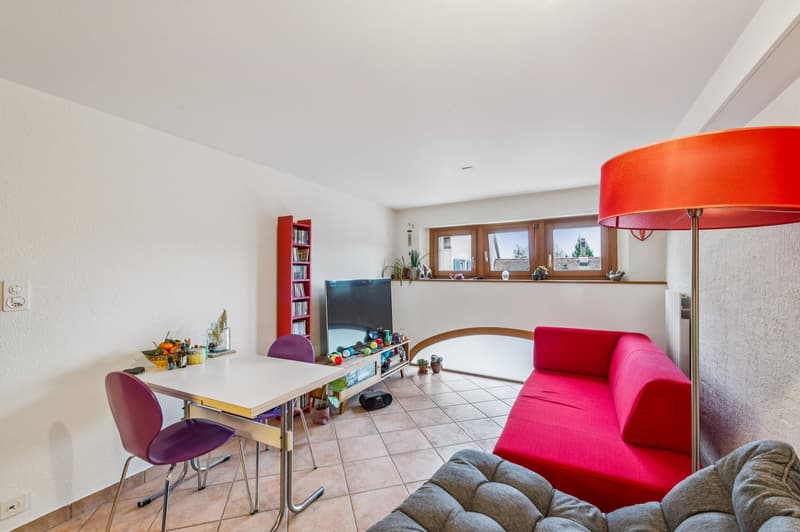 Appartement 1er ( à rafraichir)