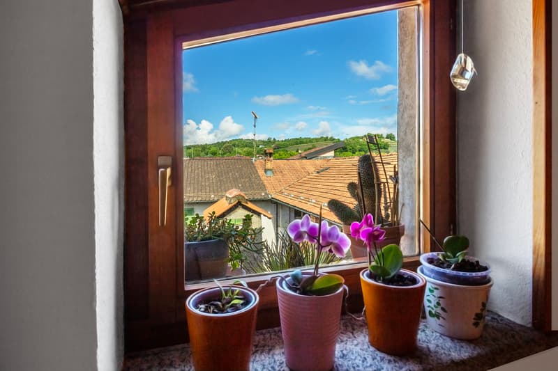 Vista dall`interno