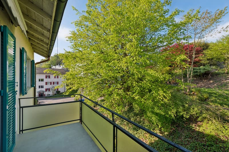 Die rundum begrünte Umgebung vom Balkon aus gesehen