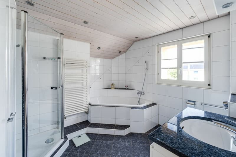 Nasszelle mit Dusche, Bad und WC