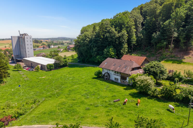 Blick ostseitig Richtung Schüpfen