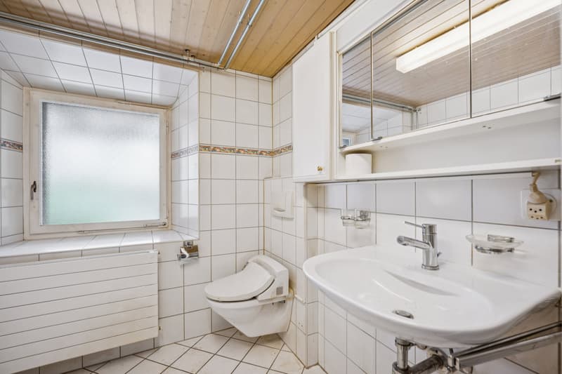 Das Badezimmer im Erdgeschoss ist mit einer Dusche und Waschmaschine ausgestattet.