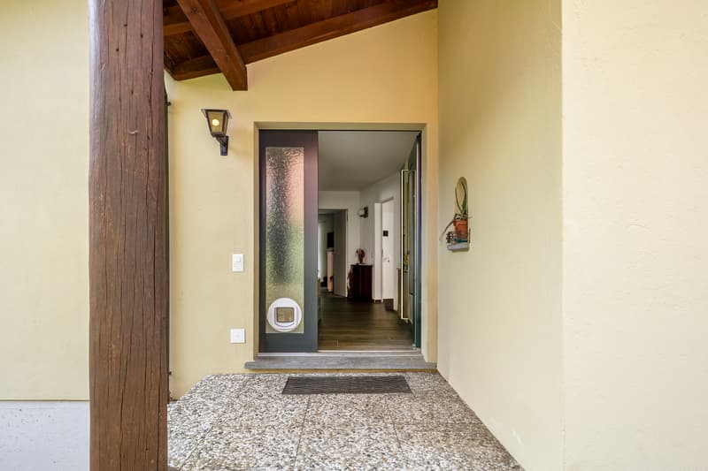 Area d`ingresso