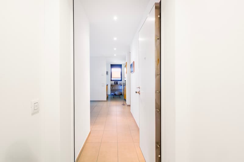 Area d`ingresso