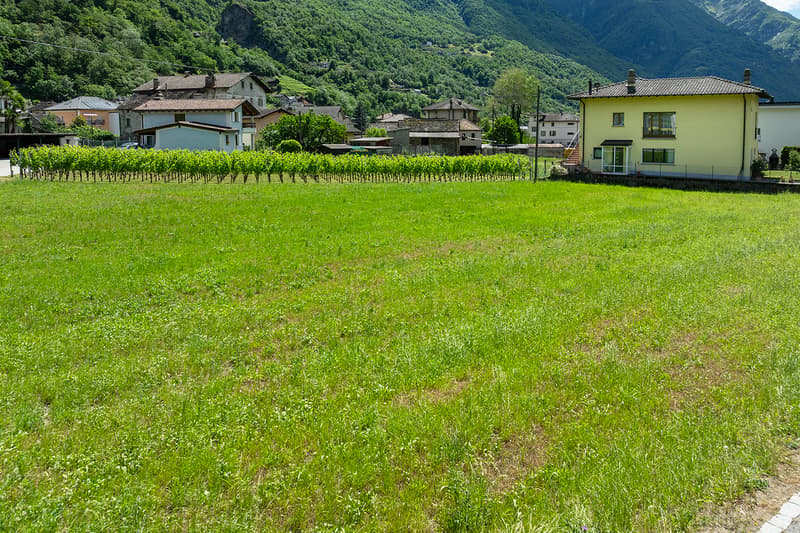 Il nostro terreno pianeggiante