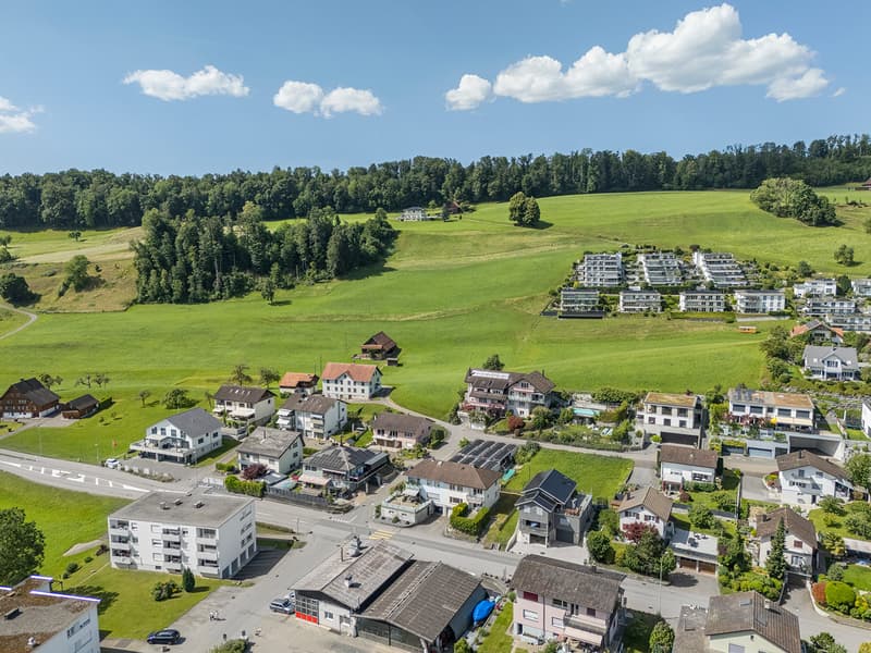 Luftaufnahme des Wohnquartiers