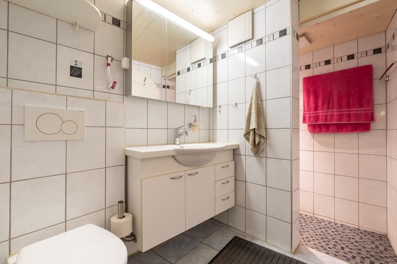 Dusche/WC im Erdgeschoss