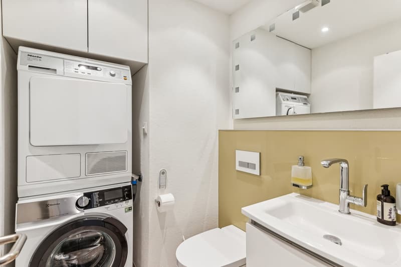 Die Gäste-Toilette ist zudem mit einem eigenen Waschturm ausgestattet
