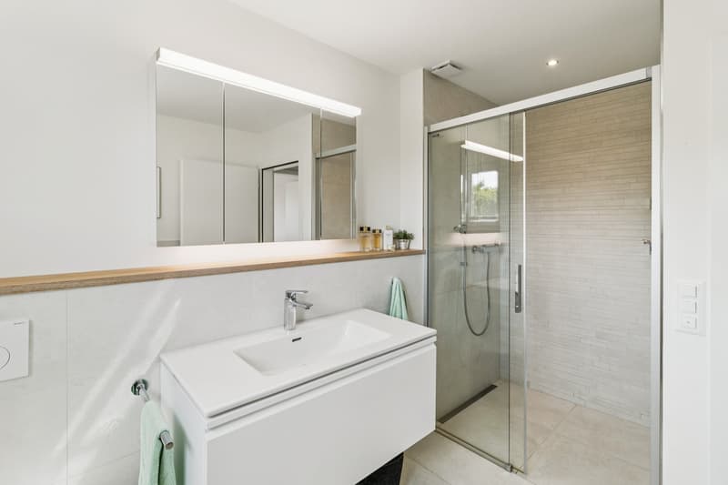 Modernes Badezimmer mit begehbarer Dusche