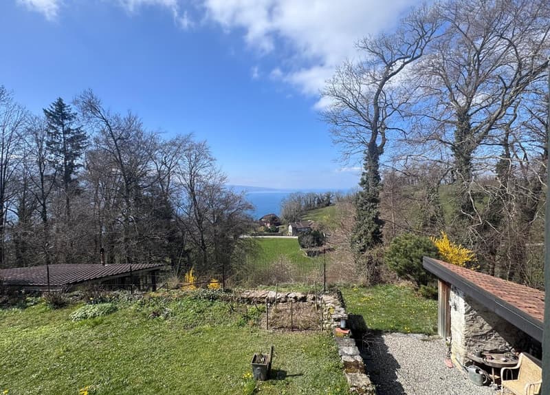 Terrasse et vue