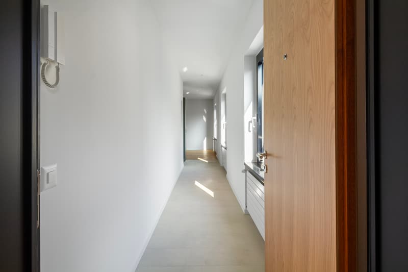 Area d`ingresso 3 appartamneto