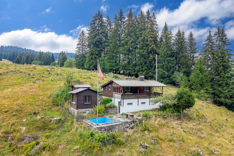 Chalet mit Panorama