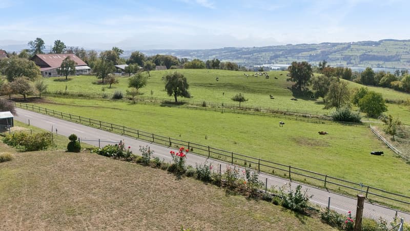 Ein Panorama zum Verlieben: Der unverbaubare Blick über die Landschaft bis hin zu den Bergen und dem Baldeggersee begeistert zu jeder Jahreszeit