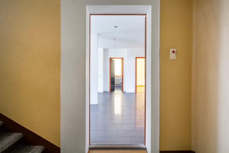 Ingresso