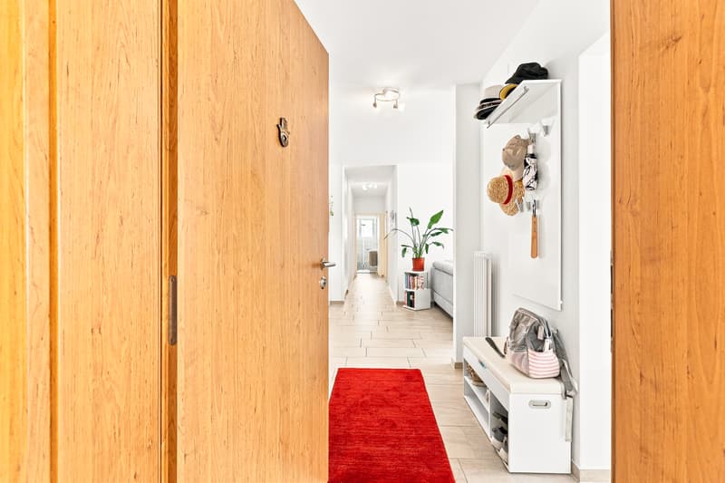 Area d`ingresso