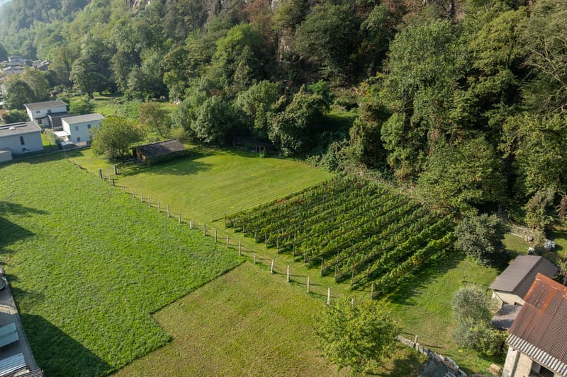 visione terreno libero