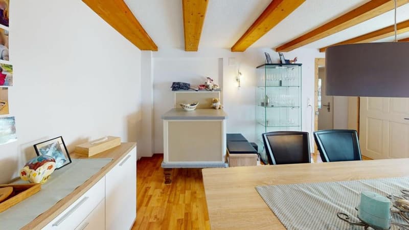 Wohnhaus mit riesiger Remise Gesamtnutzfläche 395m2 (3)