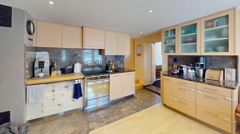 Wohnhaus mit riesiger Remise Gesamtnutzfläche 395m2 (2)