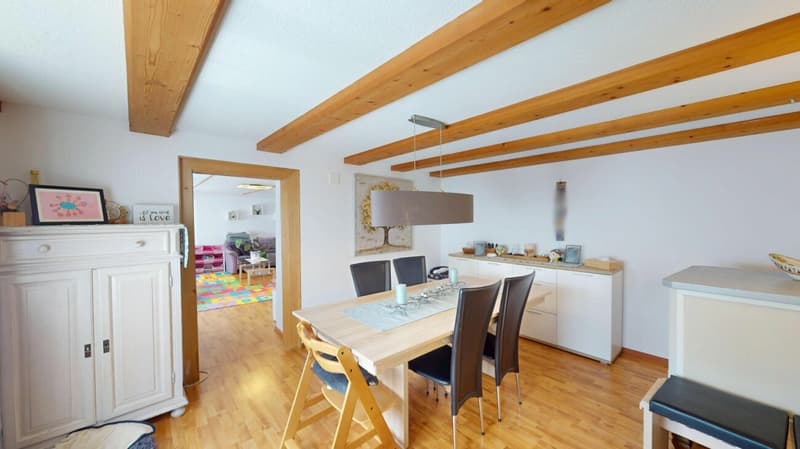 Wohnhaus mit riesiger Remise Gesamtnutzfläche 395m2 (8)