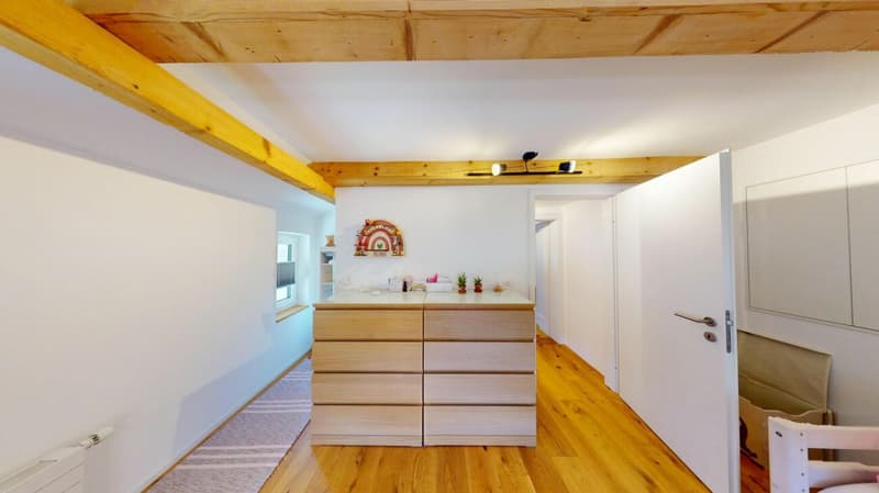 Wohnhaus mit riesiger Remise Gesamtnutzfläche 395m2 (14)