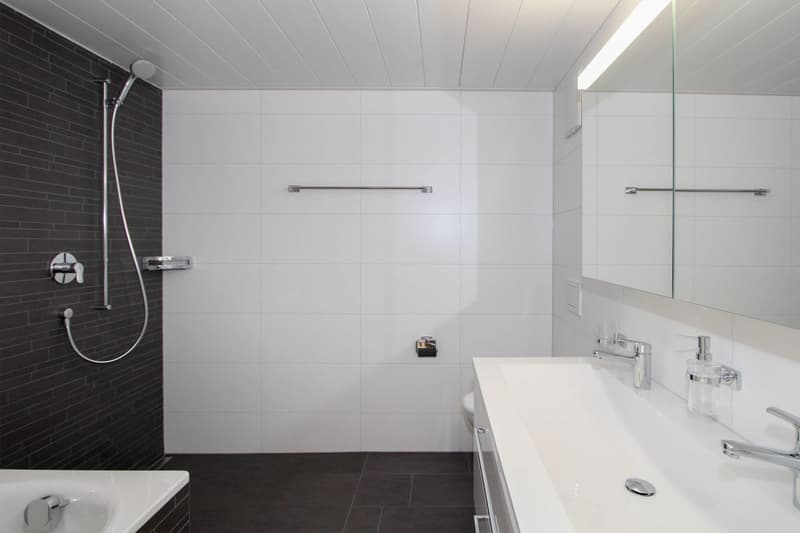 Dachwohnung auf zwei Stöcken - schöne Loggia (10)
