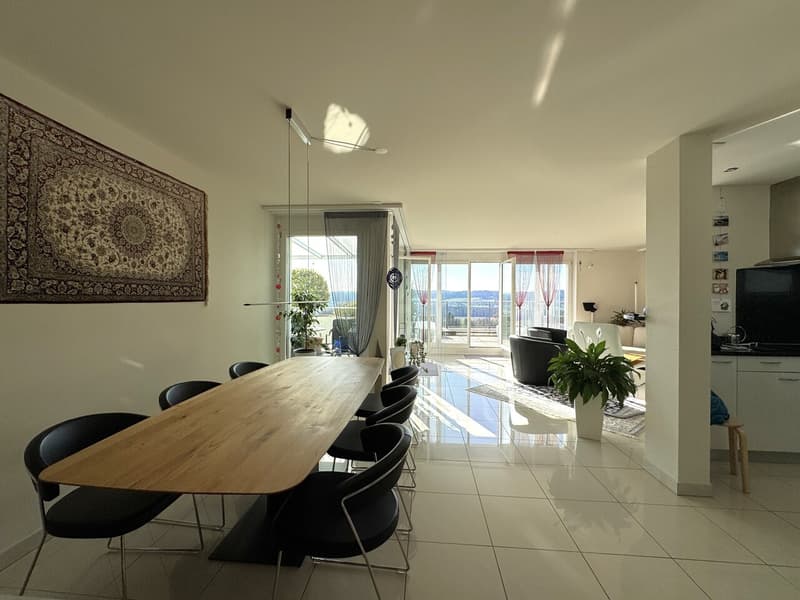 Terrassenwohnung mit beeindruckender Panoramasicht inklusive zwei Parkplätze (3)