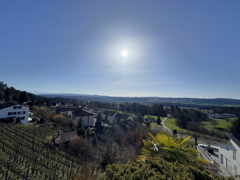 Terrassenwohnung mit beeindruckender Panoramasicht inklusive zwei Parkplätze (1)