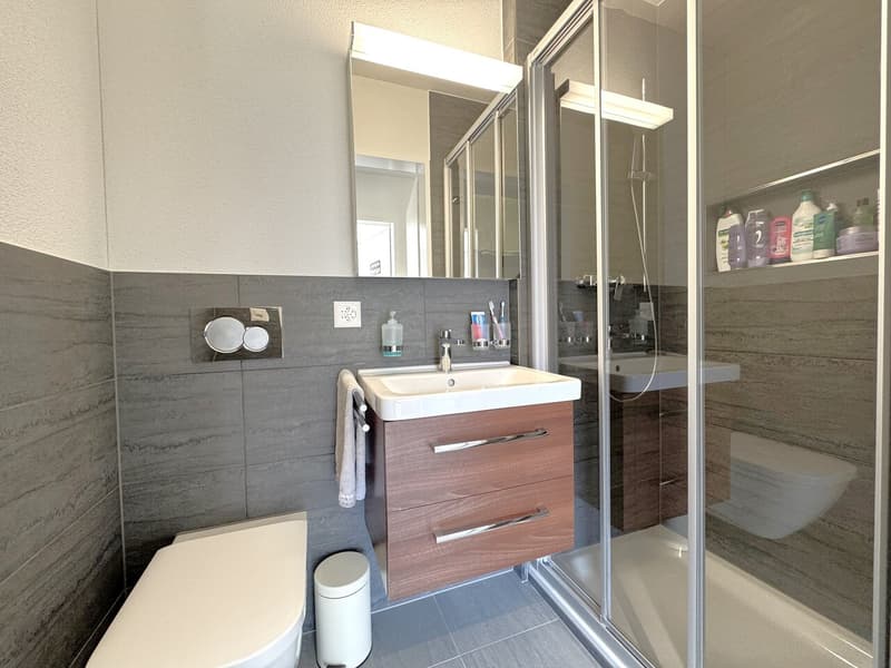 Grosszügige, moderne 4.5-Zimmer-Wohnung in attraktiver Lage (6)
