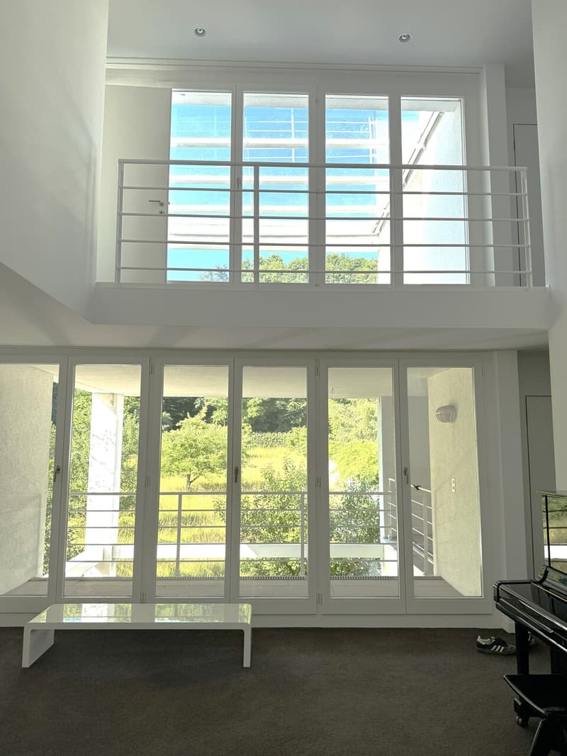 Idylle und Grosszügigkeit - 7-Zimmer-Einfamilienhaus mit Garten und Dachterrasse (5)