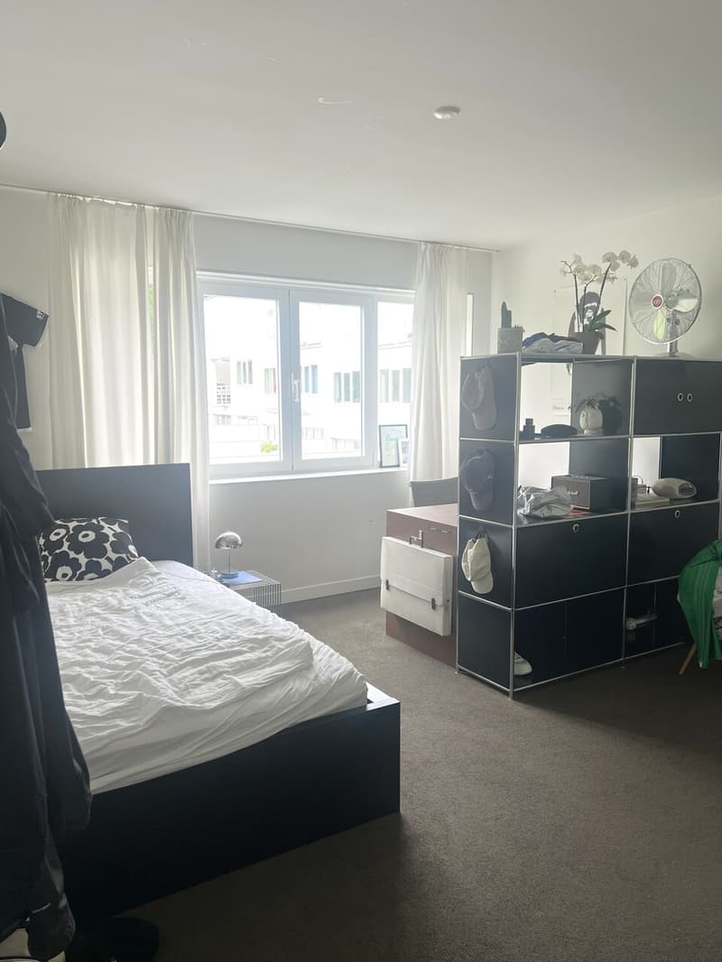 Idylle und Grosszügigkeit - 7-Zimmer-Einfamilienhaus mit Garten und Dachterrasse (12)