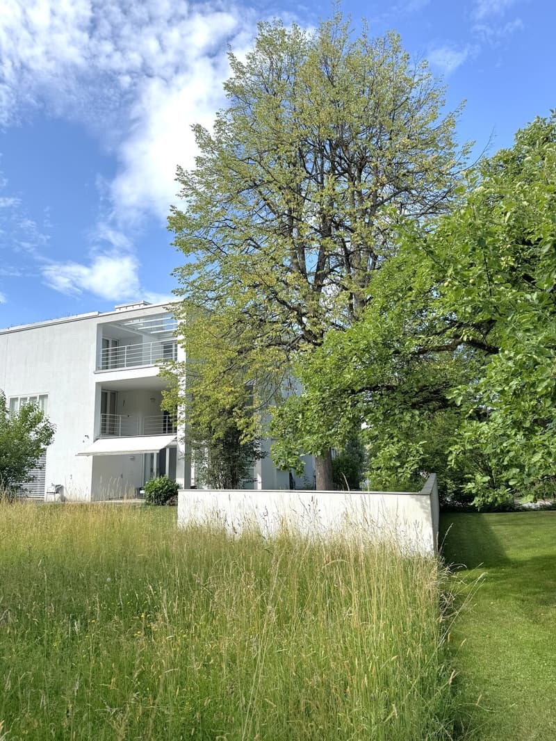 Idylle und Grosszügigkeit - 7-Zimmer-Einfamilienhaus mit Garten und Dachterrasse (2)