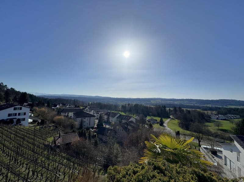 Terrassenwohnung mit beeindruckender Panoramasicht inklusive zwei Parkplätze (6)