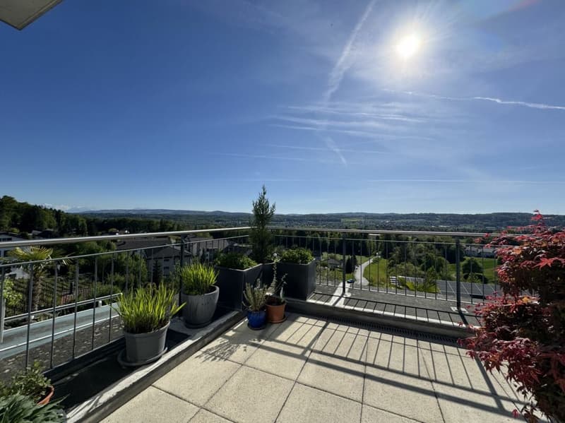 Terrassenwohnung mit beeindruckender Panoramasicht inklusive zwei Parkplätze (3)