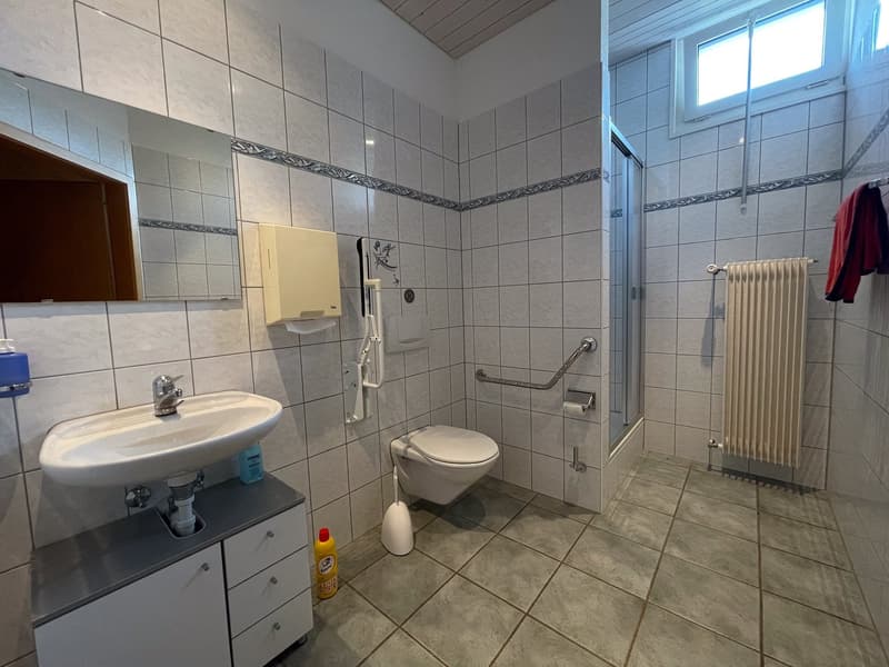 white tiled walls, white sink with faucet, white toilet, small shower with glass door, radiator, mirror, cabinets under sink, handrails