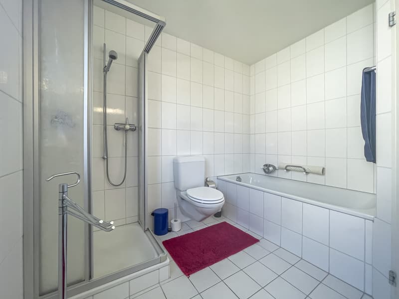 GEPFLEGTES 4.5 ZIMMER DOPPELEINFAMILIENHAUS IN MAGDEN (16)