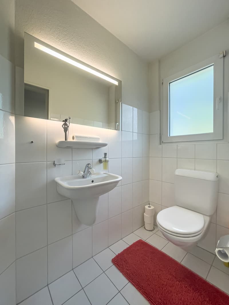 GEPFLEGTES 4.5 ZIMMER DOPPELEINFAMILIENHAUS IN MAGDEN (17)