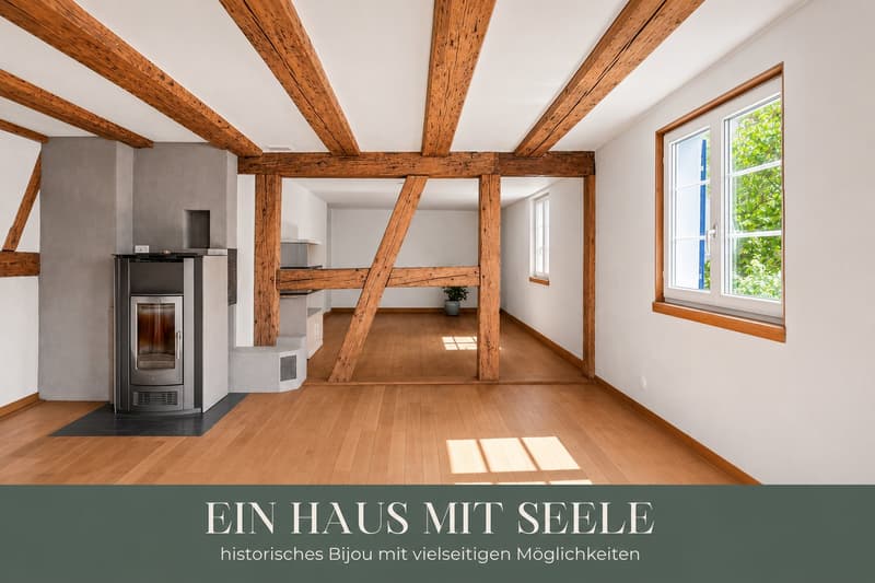 Ein Haus mit Seele – historisches Bijou mit vielseitigen Möglichkeiten (1)